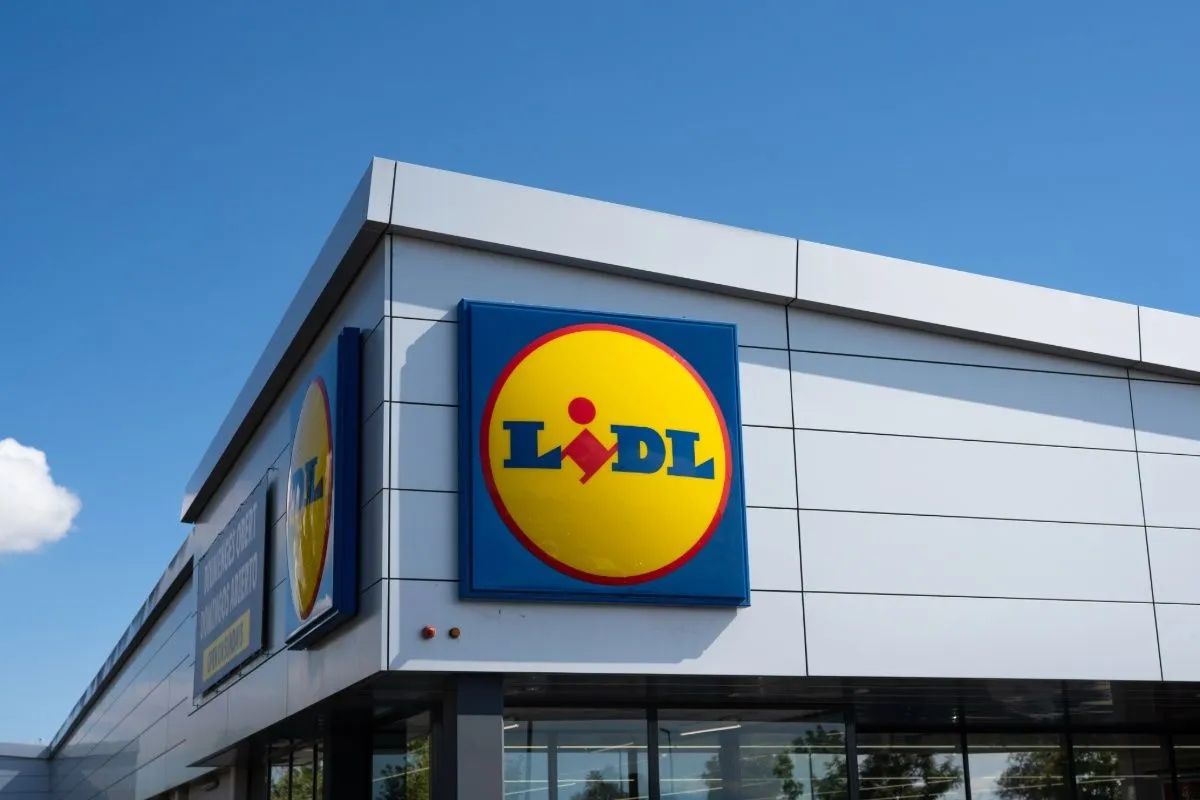 Lidl rivoluziona il mercato con un rinfrescatore d'aria a buon prezzo